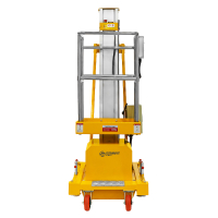 Подъемник одномачтовый GTWY 8-100 (T) (220В, 125 кг, 8 м) SMARTLIFT (SMART) HV Market