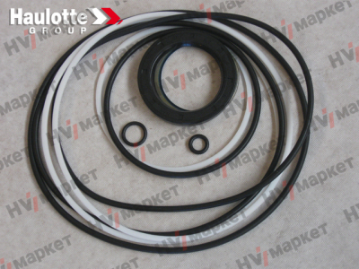 2505006600 - Набор прокладок