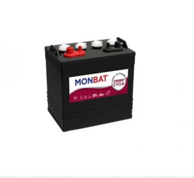 Аккумуляторная батарея MONBAT 6В, 225 Ач, T-105 HV Market